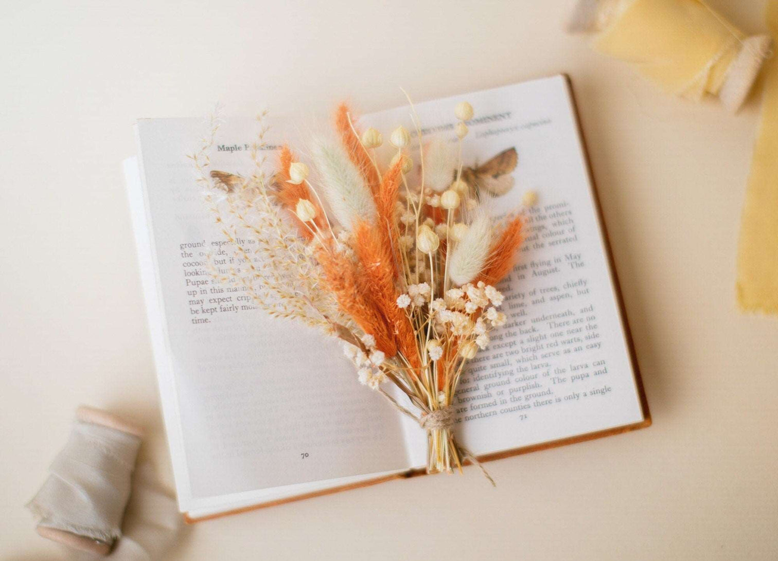 hiddenbotanicsweddings Buttonholes/Boutonnieres Burnt Orange Lagurus and Gypsophila Boutonnieres / Lapel Pin For Men / Groom Pin / Boho Boutonniere / Groom Boutonniere